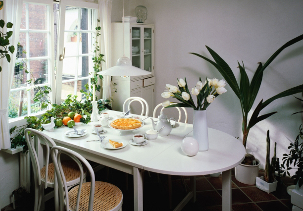 廚房植物擺放的風水知識