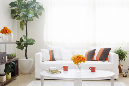 居家生活如何看對好風水