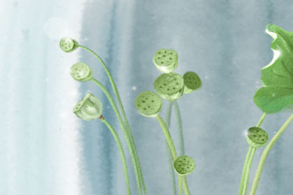 想要懷孕注意什麼風水