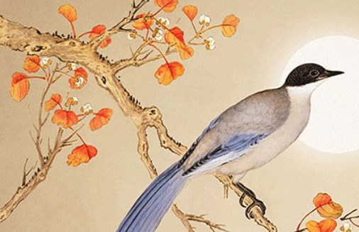 吉利的車牌號碼大全 招財車牌數字推薦