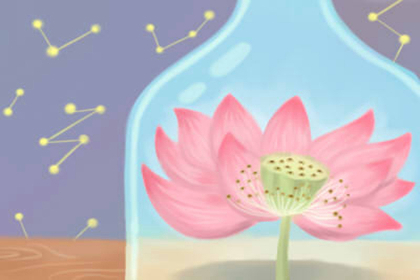 辦公室放什麼旺財 有何說法