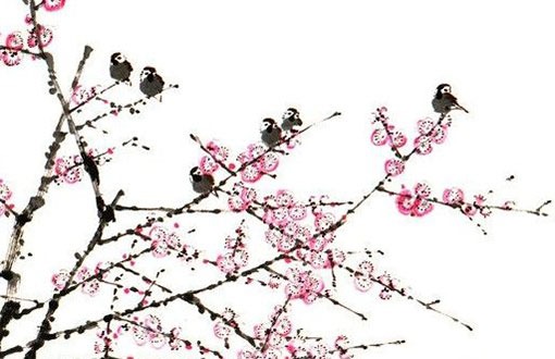 根據出生年月日挑選手機號 選號最准有效的方法