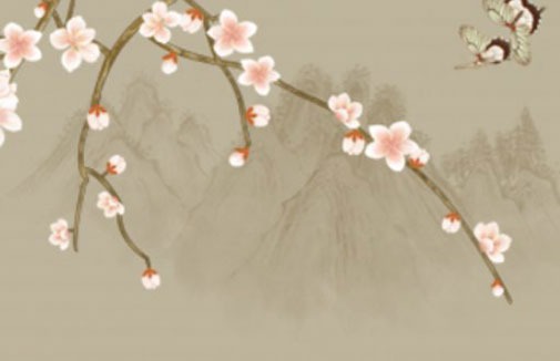 車牌號字母組合忌諱 有財富運數的車牌號