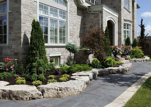 別墅門口種什麼樹最好