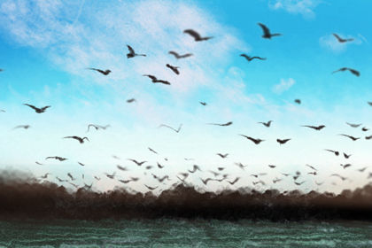 進門風水:三見、三不見