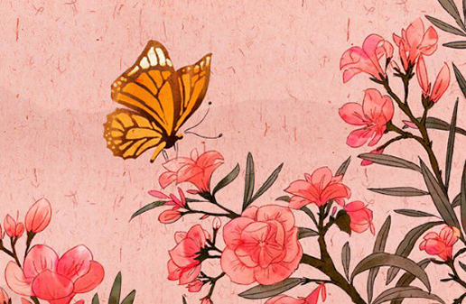 男孩卯時出生命運好嗎,卯時出生的男寶寶性格如何