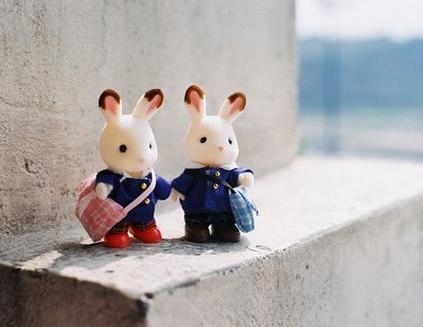 解讀八字五行與家居風水關係