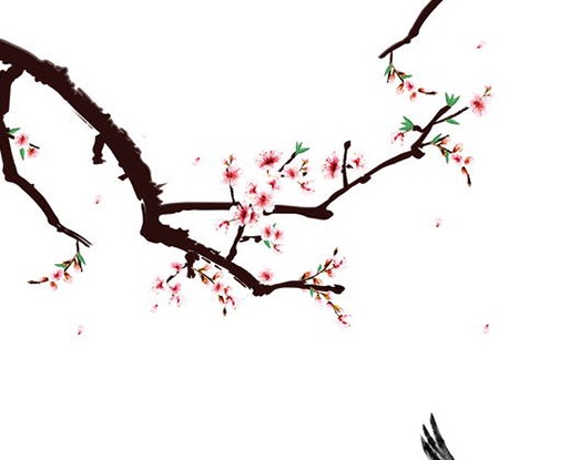 辰時出生的女孩命運,辰時生的女寶寶比較聰明