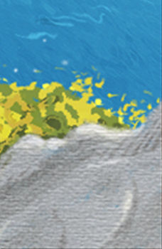 十大家居風水的凶兆