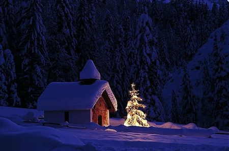 聖誕平安夜家中風水指點