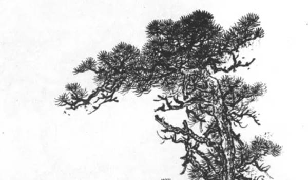 戴金首飾對女性有什麼好處 佩戴有何講究