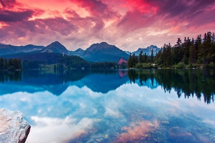 屬豬男人辦公室風水有何講究？屬豬2019年吉位在哪？