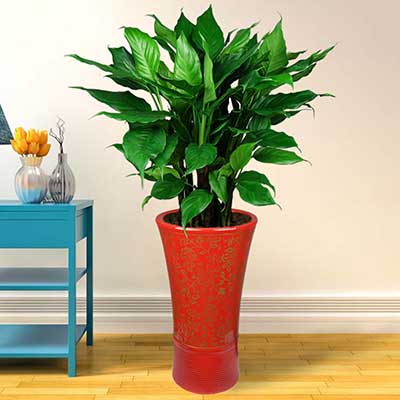 年後上班,如何提升自己的職場運勢?