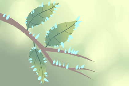 進門玄關裝修風水事項,進門玄關裝修風水禁忌