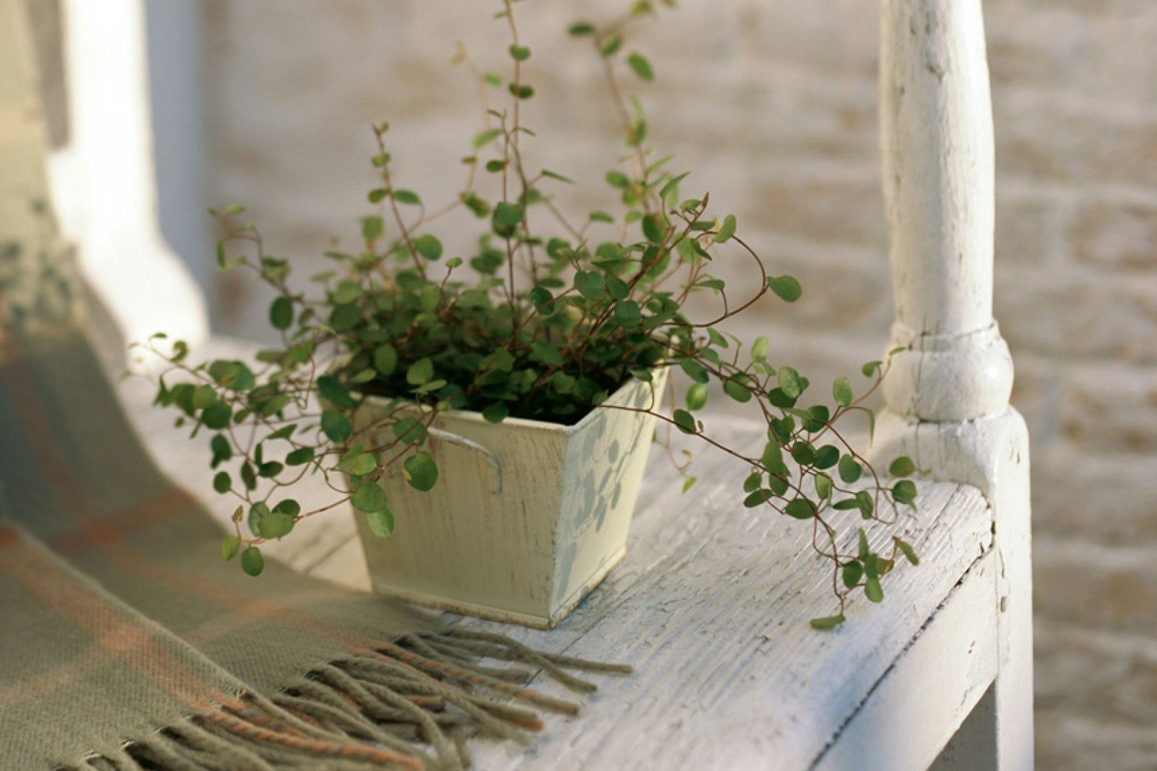 屬虎人的風水吉凶方位 吉凶有異需注意