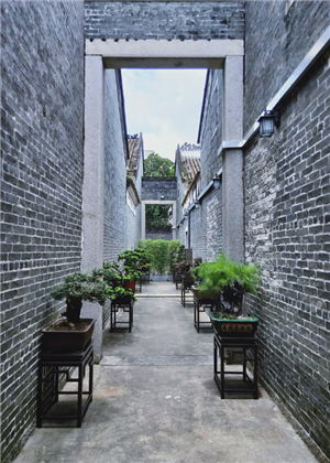 庭院種樹6大風水禁忌，你了解多少？