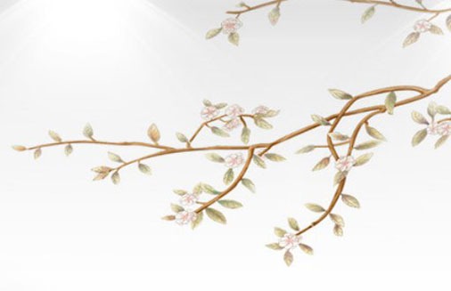 怎樣選好車牌號技巧 免費數理吉祥選號