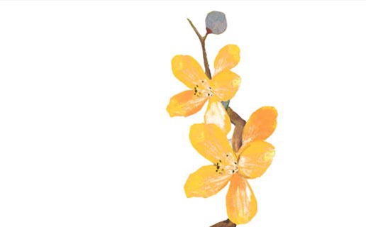 男人幾月出生是富貴命 幾月出生的男人命最好