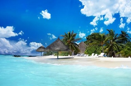 屬豬辦公室樓層風水選幾層最好？屬豬辦公室財位在哪？