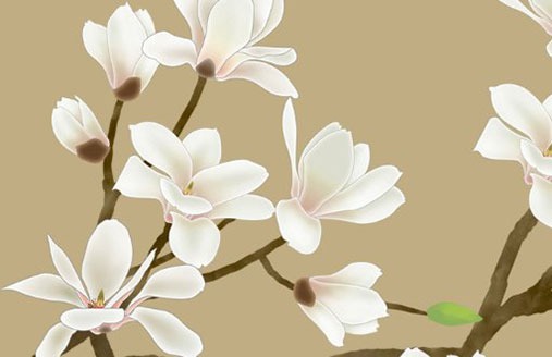 車牌號碼選什麼數字好 熱門的車牌尾號