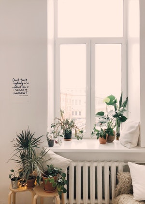 開窗見什麼風水最好?這四種現在是求之不得!