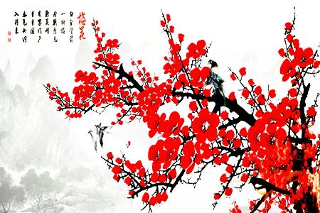 梅花可以往家裡掛嗎？