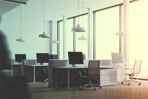 辦公室植物擺放風水禁忌