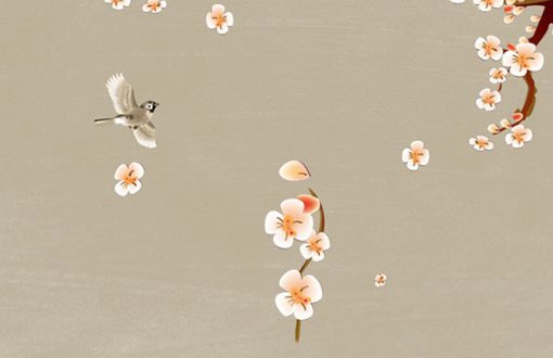 車牌號怎麼選擇好 選擇有意義的首字母