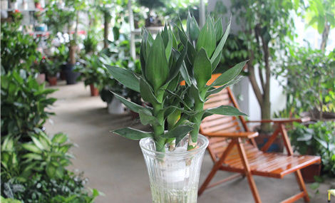 怎麼破小人的方法 犯小人的人有什麼特徵