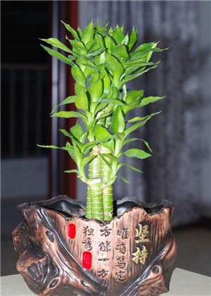 坐南朝北文昌位在哪裡?都有哪些注意事項呢?