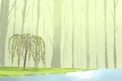 買房中最忌諱的三角形的房子風水