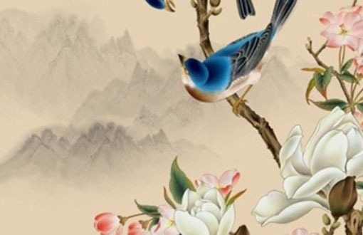 車牌號碼字母怎麼選擇最好 吉利字母帶來好運