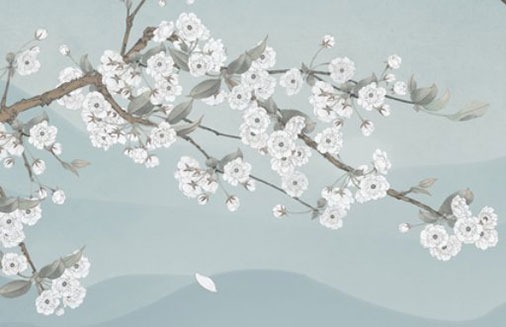 車牌號最吉利的尾數 盤點發發發大財車牌號