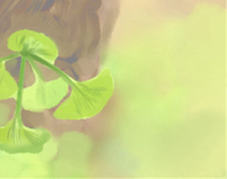 十大家居風水的凶兆