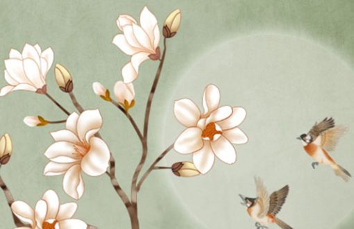 車號牌怎樣選吉利號 關注車管所的投放時間