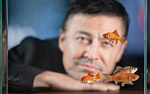 辦公室魚缸擺放位置,東南方能夠催旺氣運