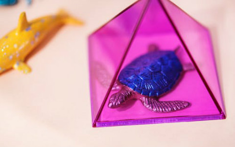 烏龜養在家裡哪些位置好?這三處真的很重要