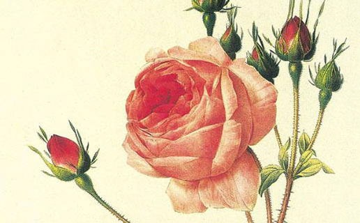 虎年寶寶什麼時候備孕 懷虎寶寶最佳備孕時間