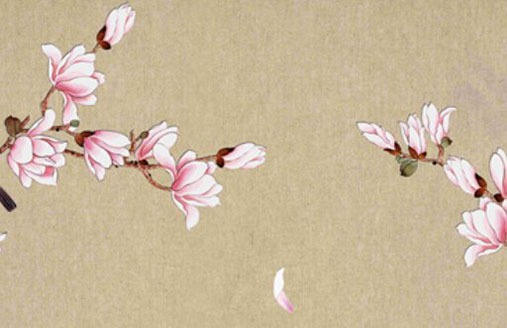 車牌111為什麼不好 稀有又旺運的車牌號