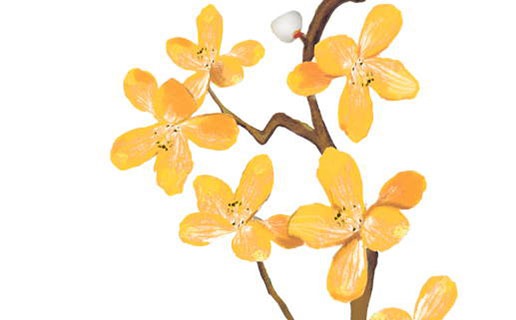 2021牛年出生的人的命運 金牛年出生的人性格很好