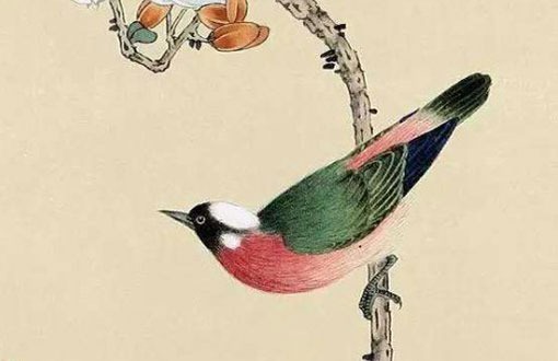 立冬出生的男孩子命運 財利雙收好命屬相