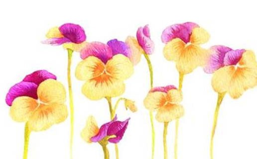 2021年幾月出生牛寶寶命好 農歷四月的牛寶寶有福氣