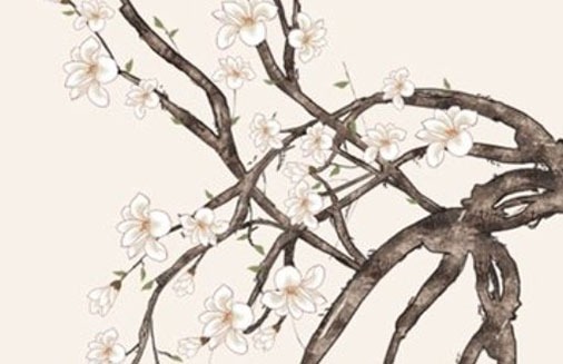 手機尾號發財號碼 最吉利的招財尾號