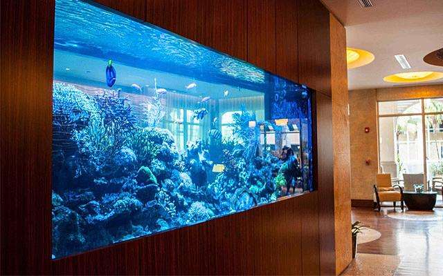 辦公室前台怎麼擺風水好？500強企業專屬秘籍！