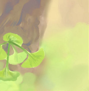 十大家居風水的凶兆