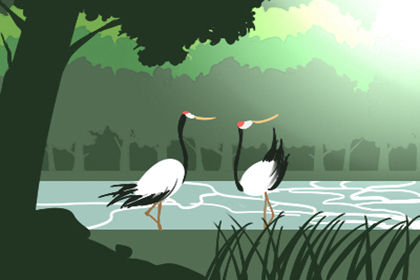 風水命理:怎樣才能提升運氣