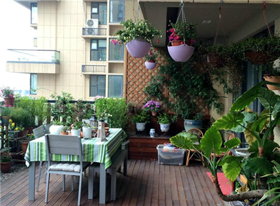 室內養花有哪些風水禁忌