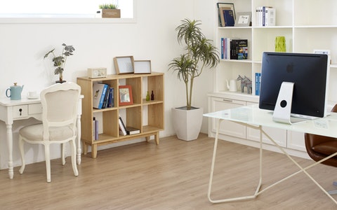 進門鞋櫃上放什麼招財?這三種是明智之選!