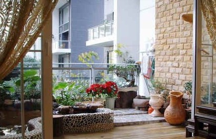 陽台最適合擺放的植物