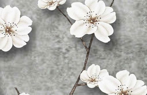 車牌號碼怎麼選 三個方法選到心儀的車牌號